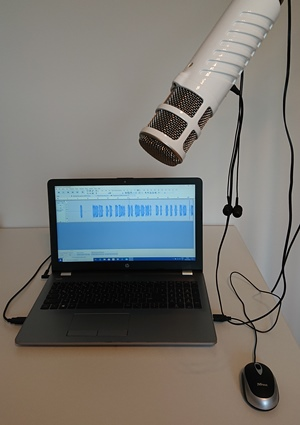 my laptop and microphone